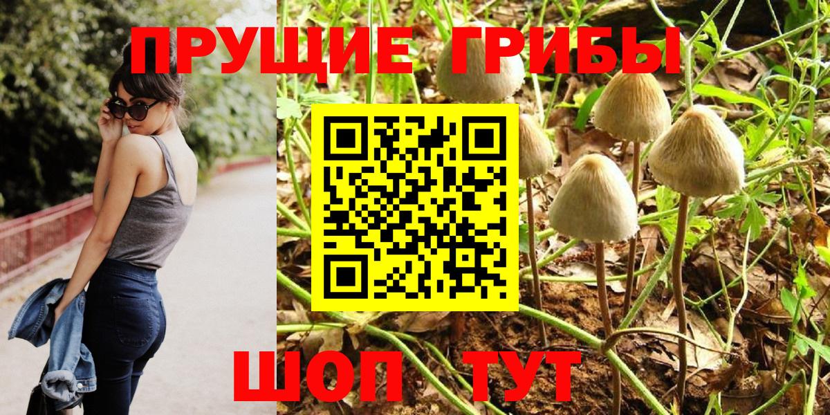 Кировск  Псилоцибиновые грибы MAGIC MUSHROOMS  Вход с VPN 