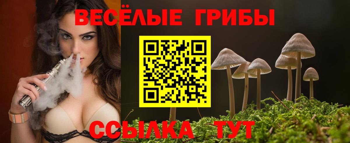 Псилоцибиновые грибы мухоморы Кировск